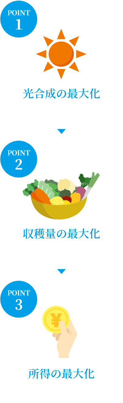 光合成の最大化 収穫量の最大化 所得の最大化