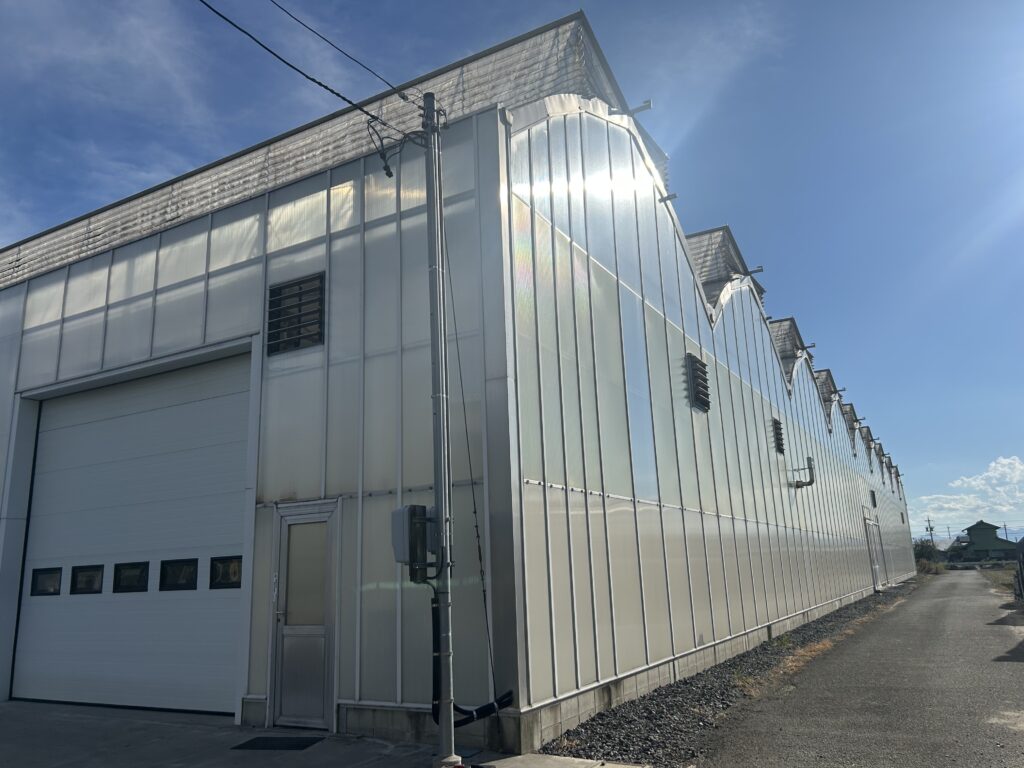 伊藤農園ハウス