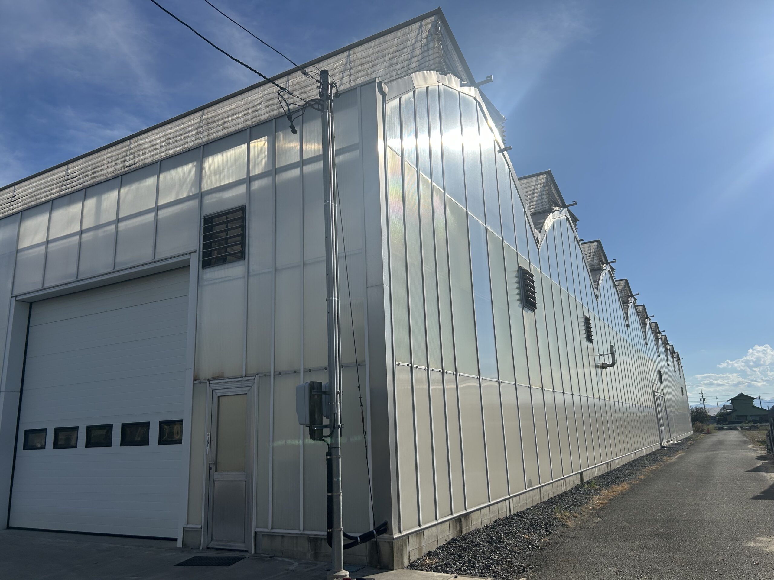 伊藤農園ハウス